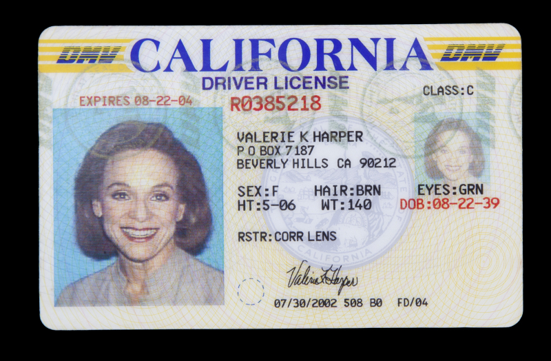 2004 driver's license