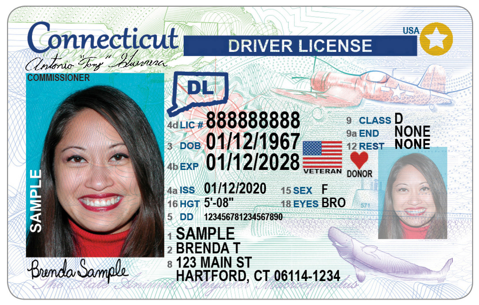 aaa connecticut driver's license renewal