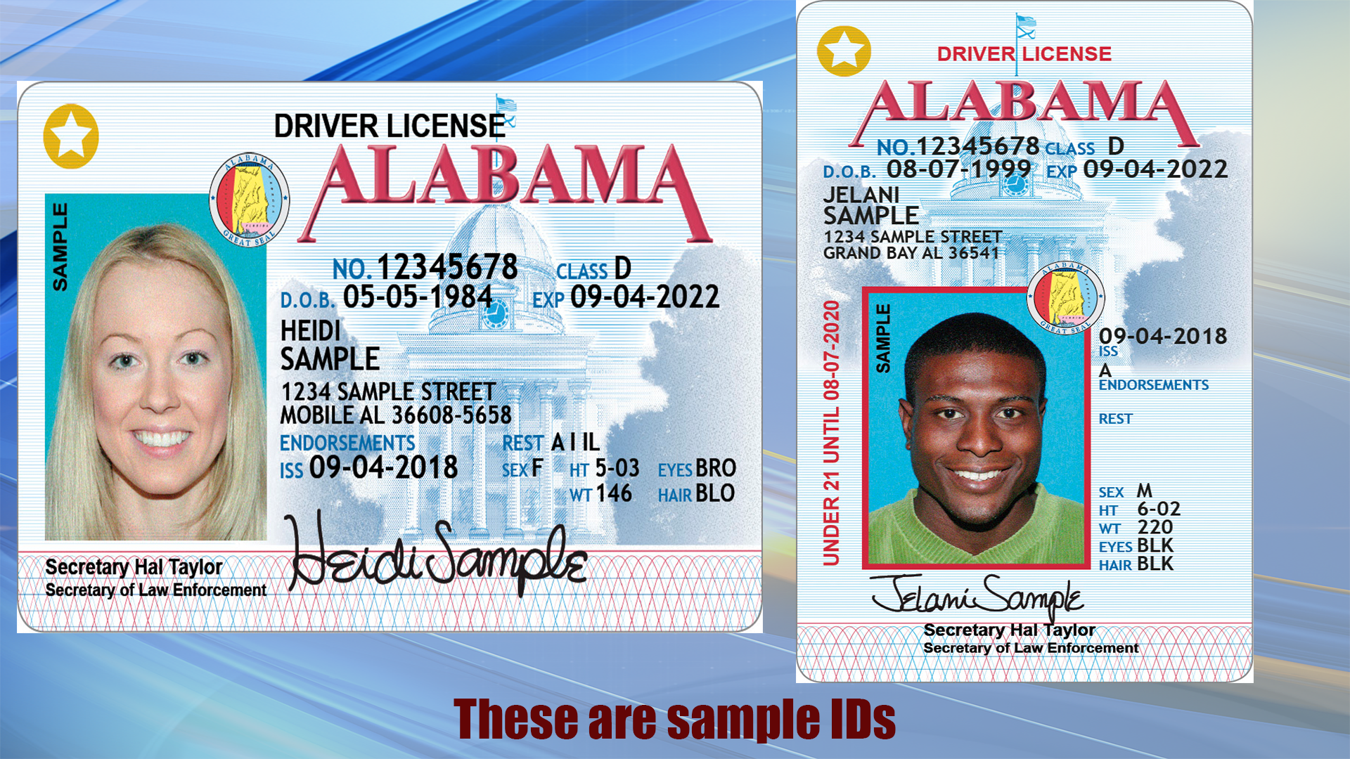 acquiring a driver's license in alabama quizlet