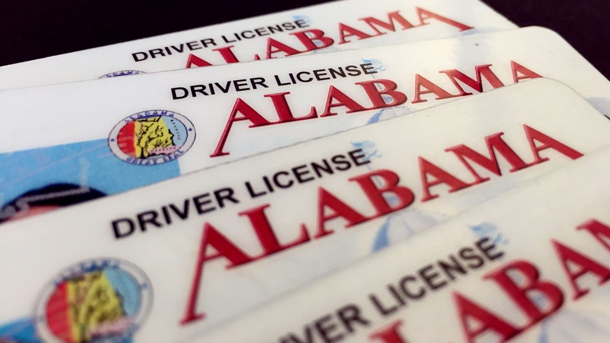 alabama department of education driver license certificate