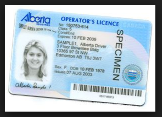 alberta driver license