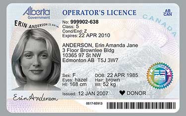 alberta driver license