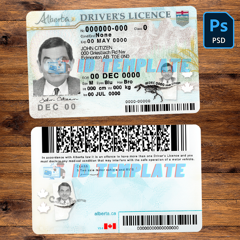 alberta temporary driver's license