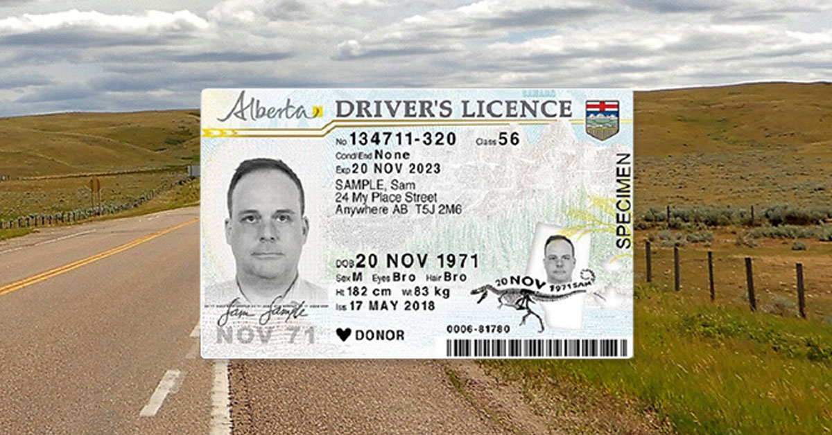 alberta temporary driver's license