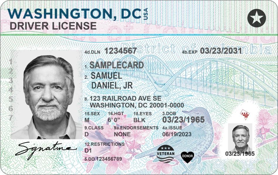 american driver license