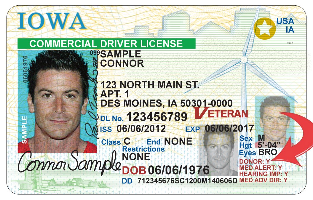 anatomical donor on driver's license