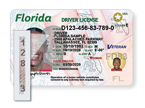 apply for driver's license florida