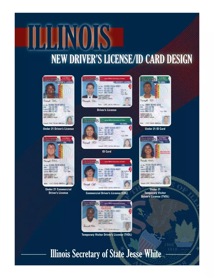 apply for driver's license in illinois