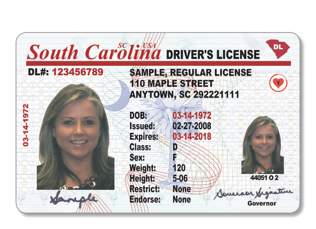 apply for south carolina driver's license