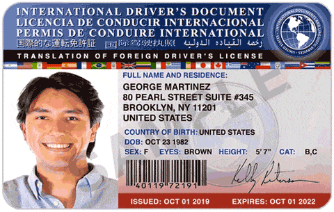 are international driver's license real