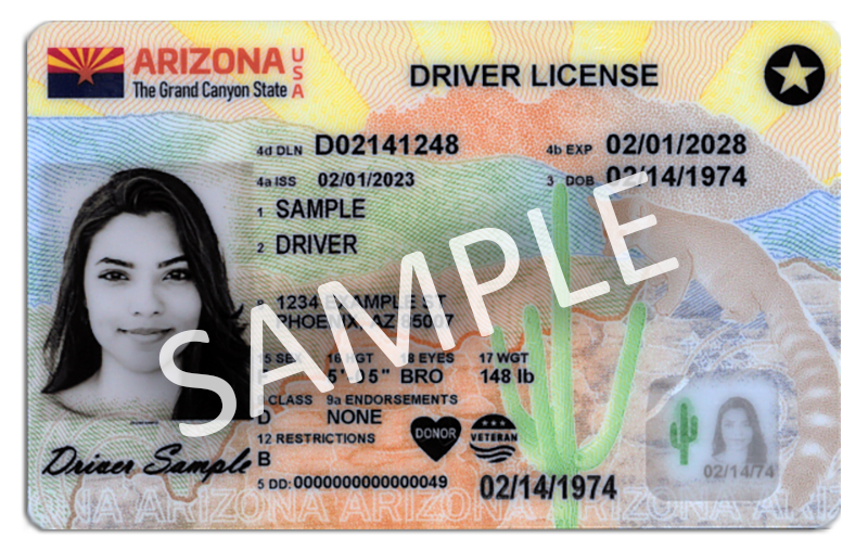 arizona driver license test