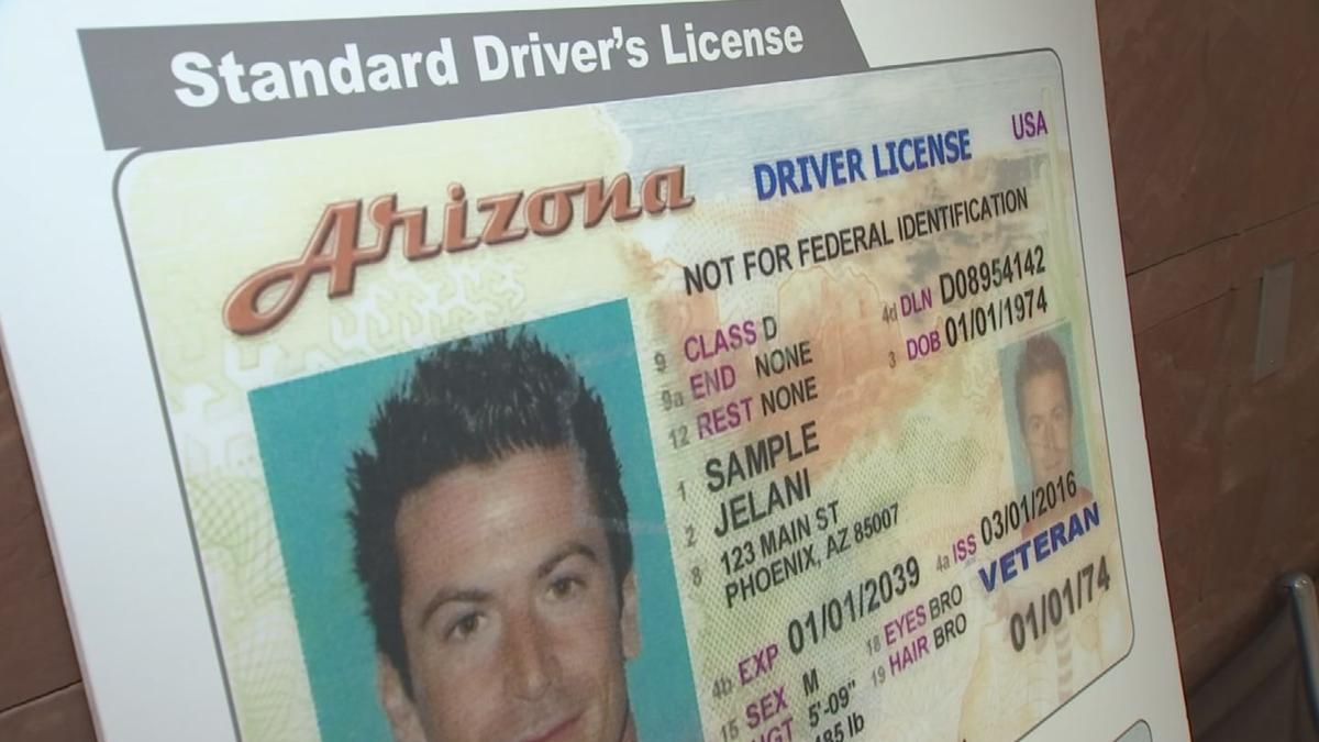 arizona driver's license verification