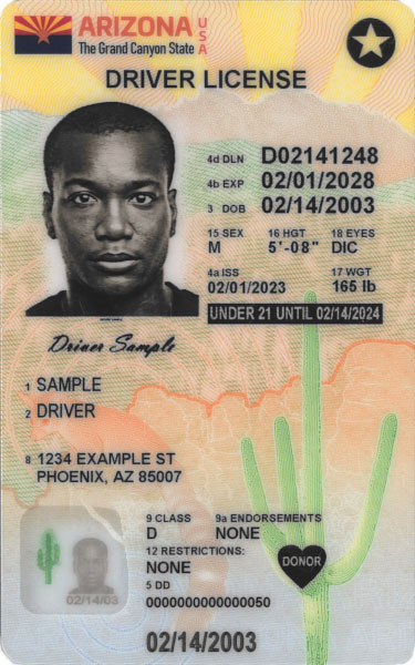 arizona enhanced driver's license requirements