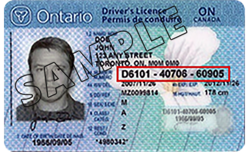 az driver license ontario