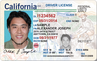 basic class c driver's license