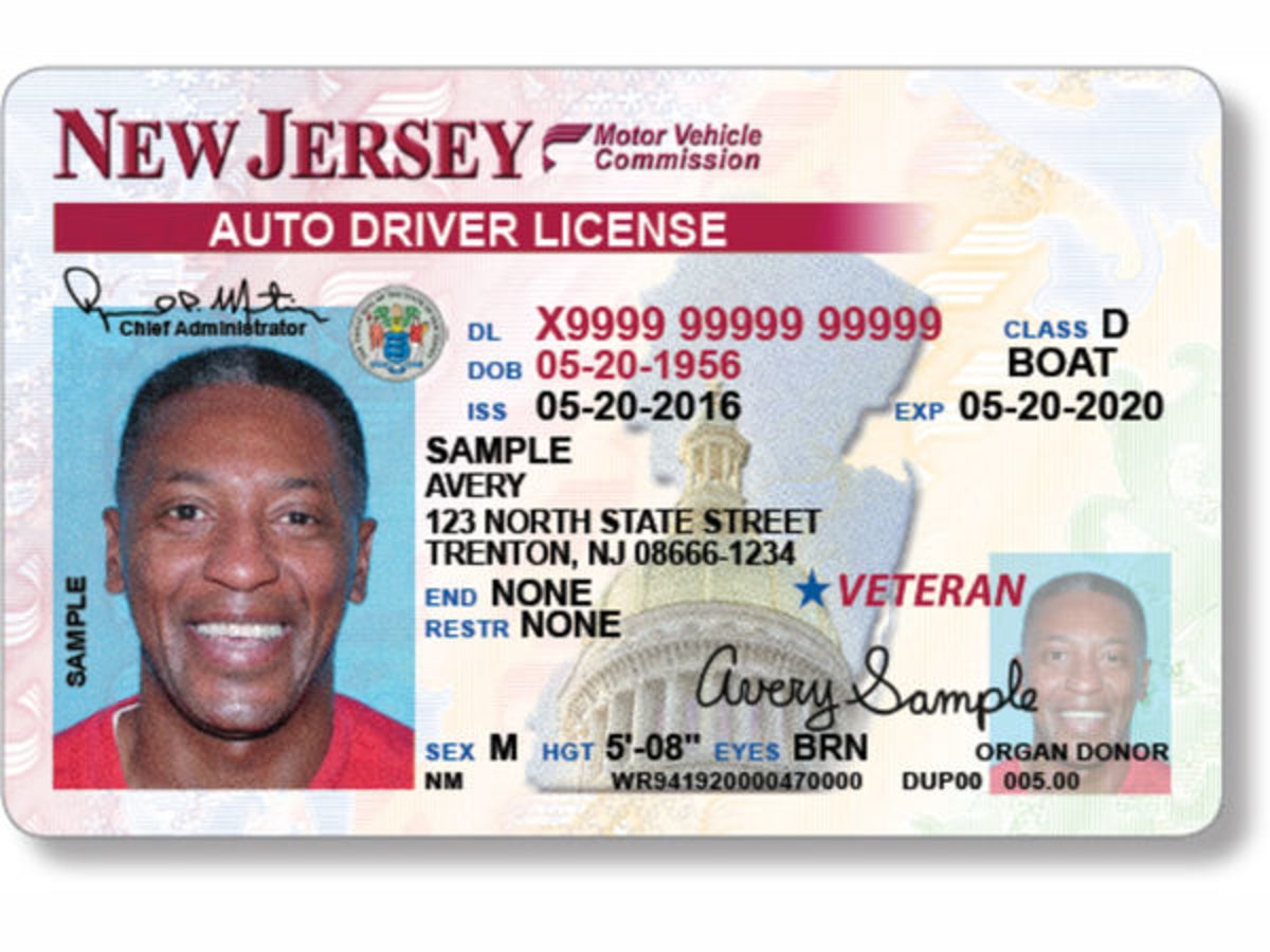 basic driver's license