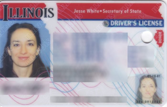 best driver's license photos