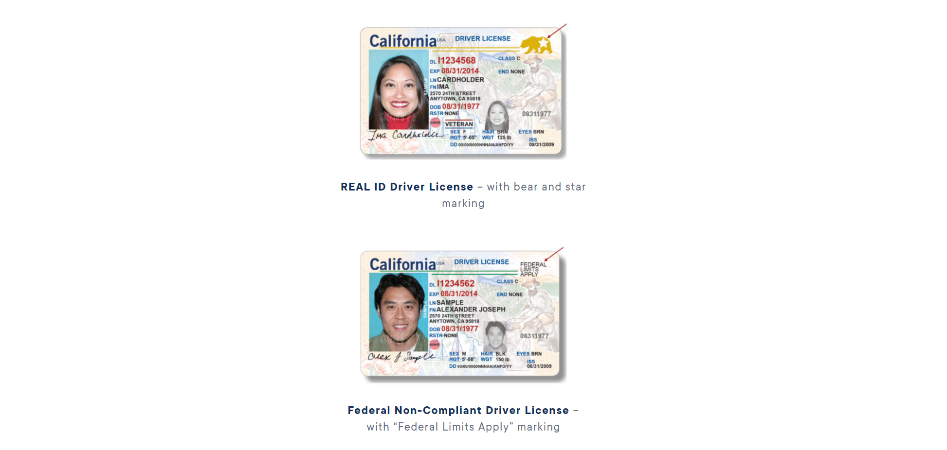 ca enhanced driver's license