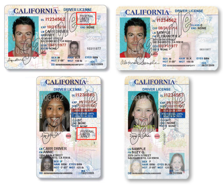 california driver license for undocumented requirements