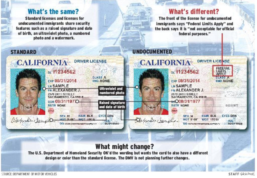 california driver license for undocumented requirements