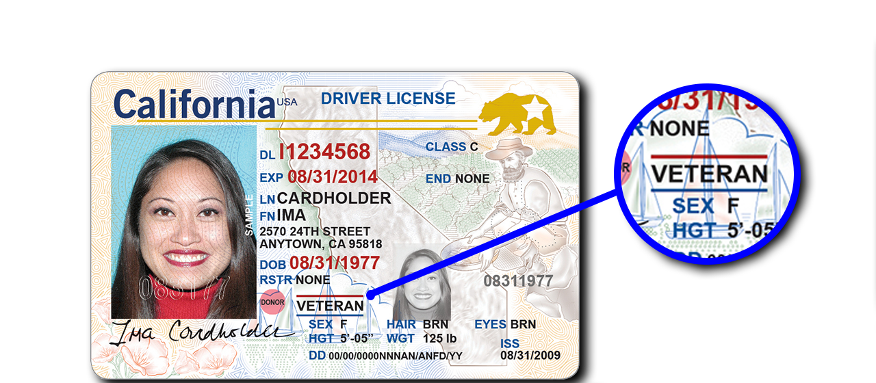 california driver's license requirement