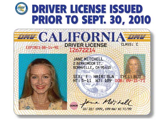 california driver's license vertical