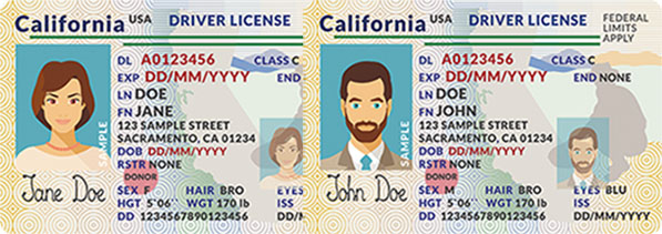 california id and driver's license