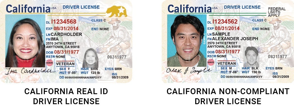 california id and driver's license