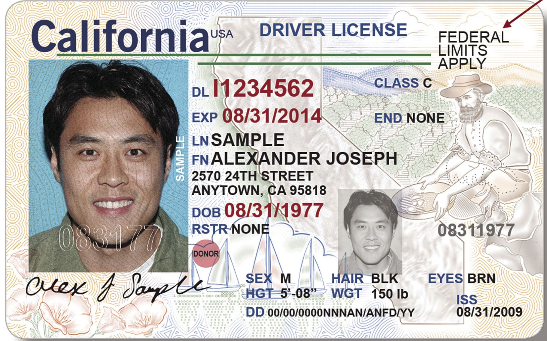 california regular driver's license class
