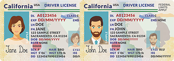 california transfer driver's license