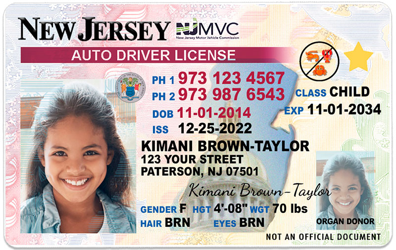can i drive in nj with a ny junior license
