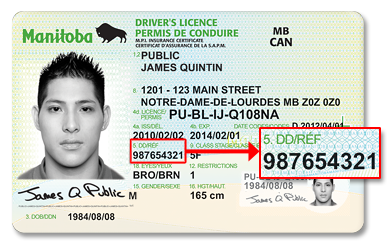 can i lookup a driver's license number