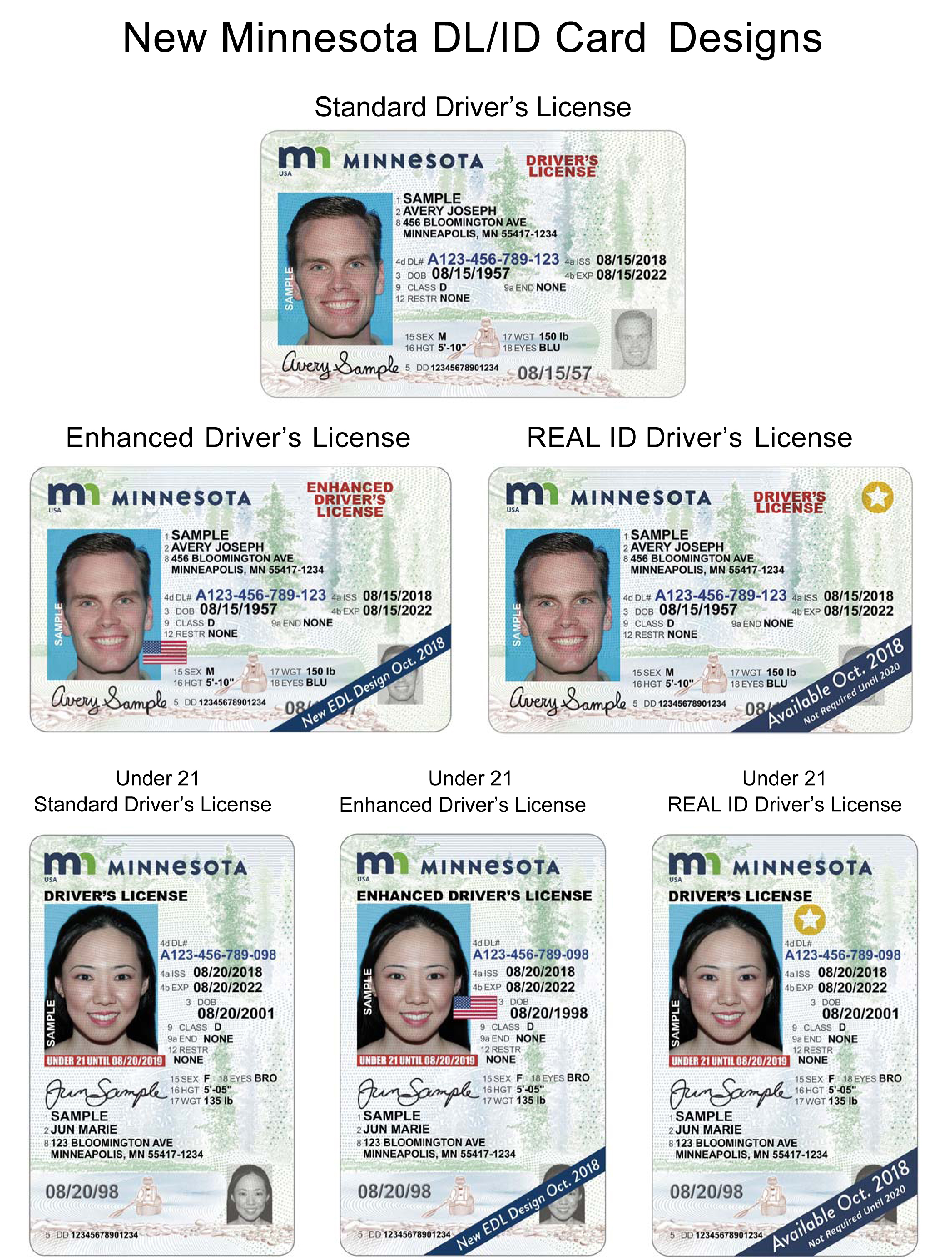 can i renew my driver's license online in minnesota