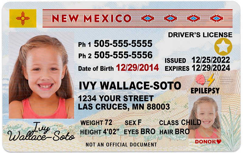can i renew my driver's license online in new mexico