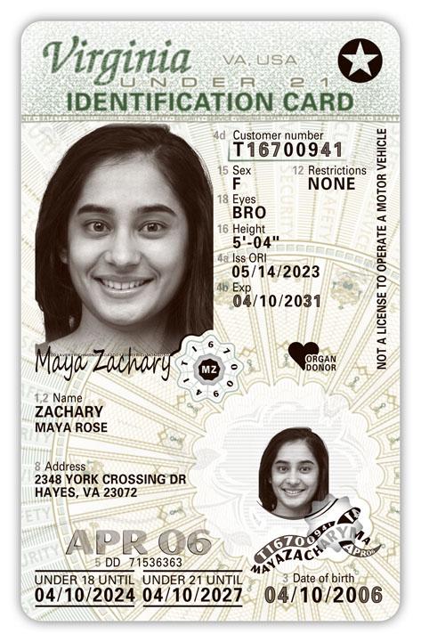 can i renew my virginia driver's license online