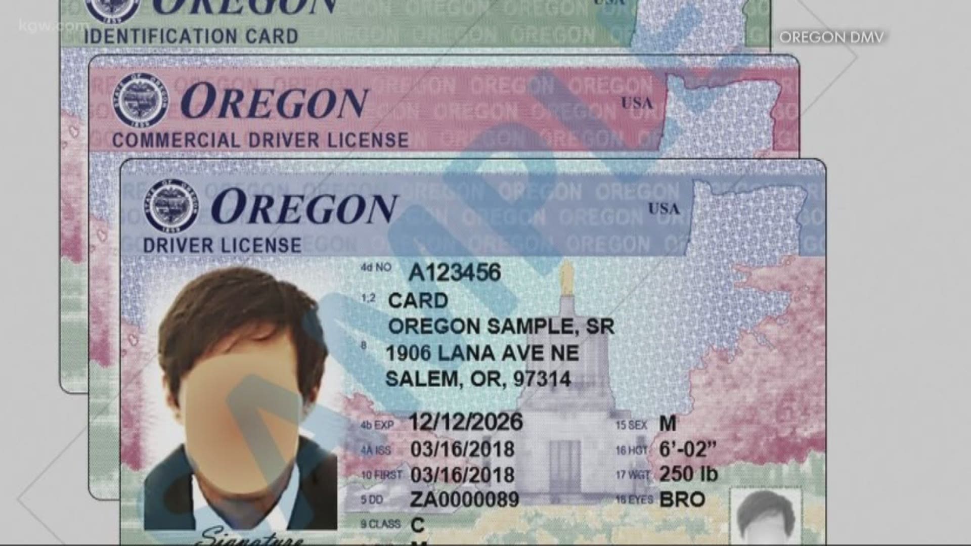 can illegal immigrants get a driver's license in oregon