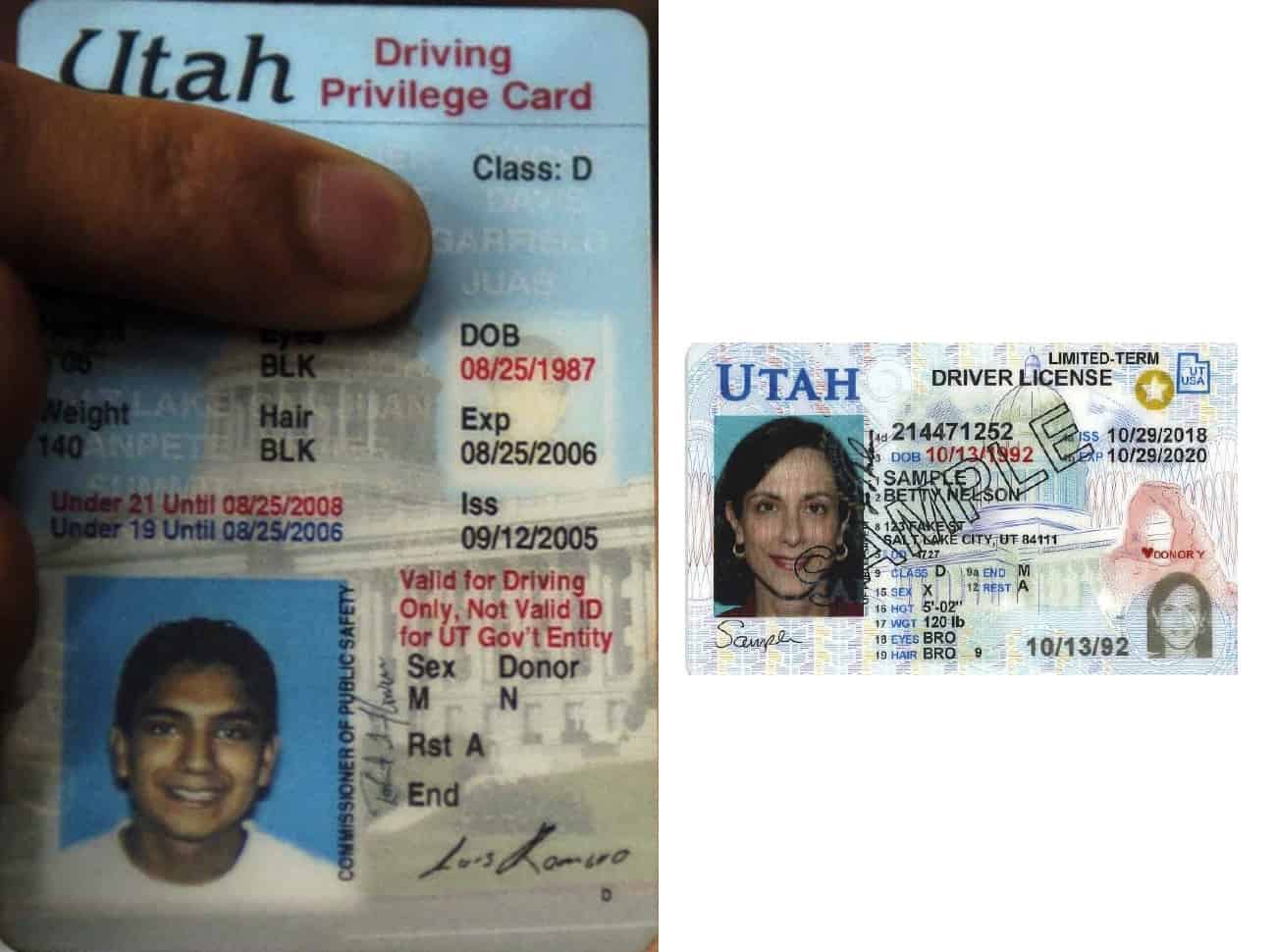 can illegal immigrants get a driver's license in oregon