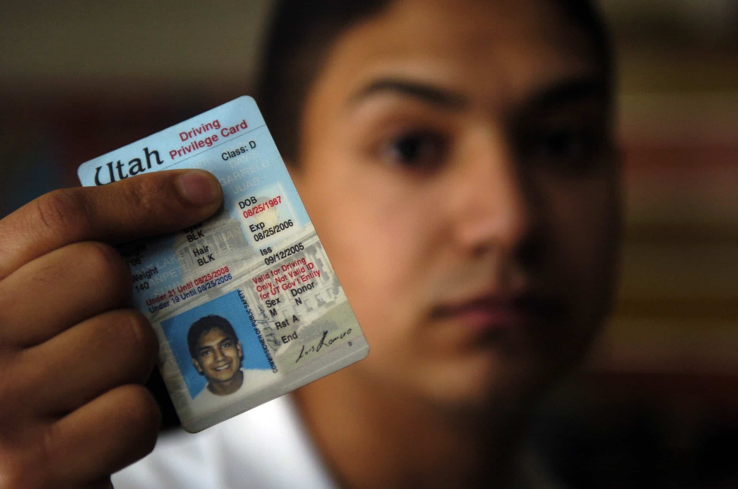 can illegals get driver's license