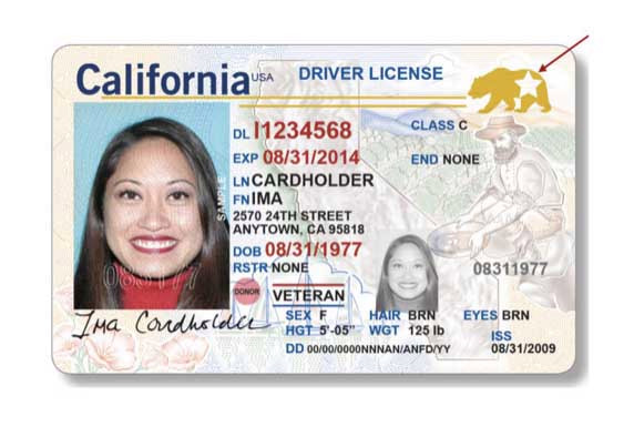can you get a new photo on your driver license