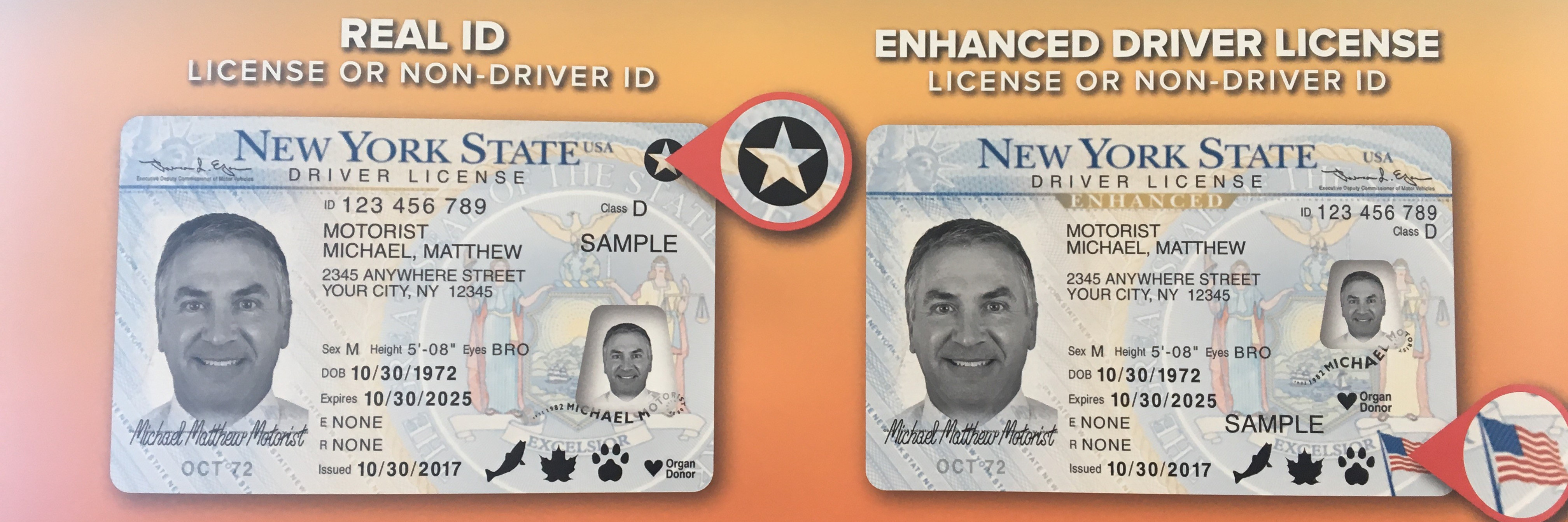 can you get your enhanced driver's license online