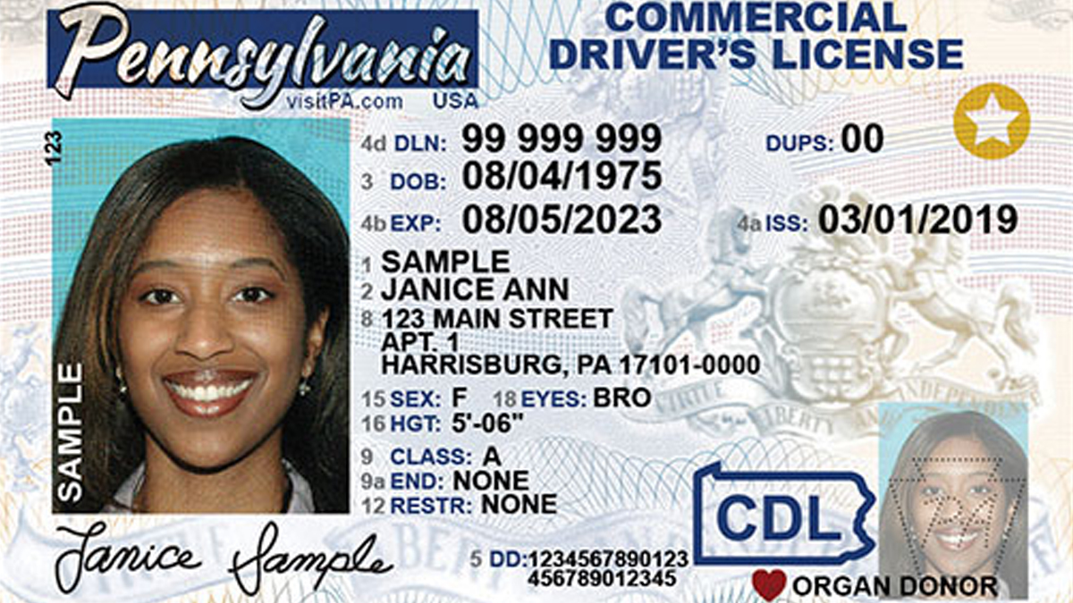 can you have a driver's license and state id