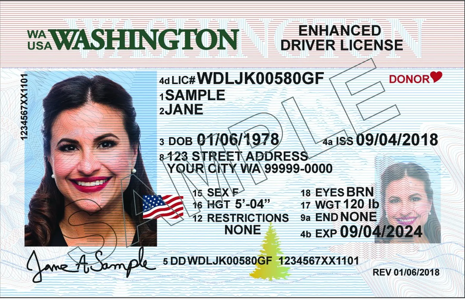 canadian driver license valid in usa