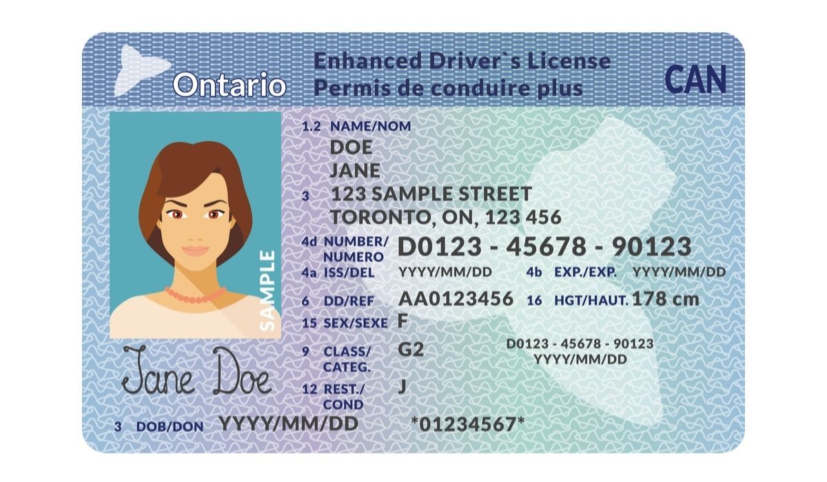 canadian driver's license