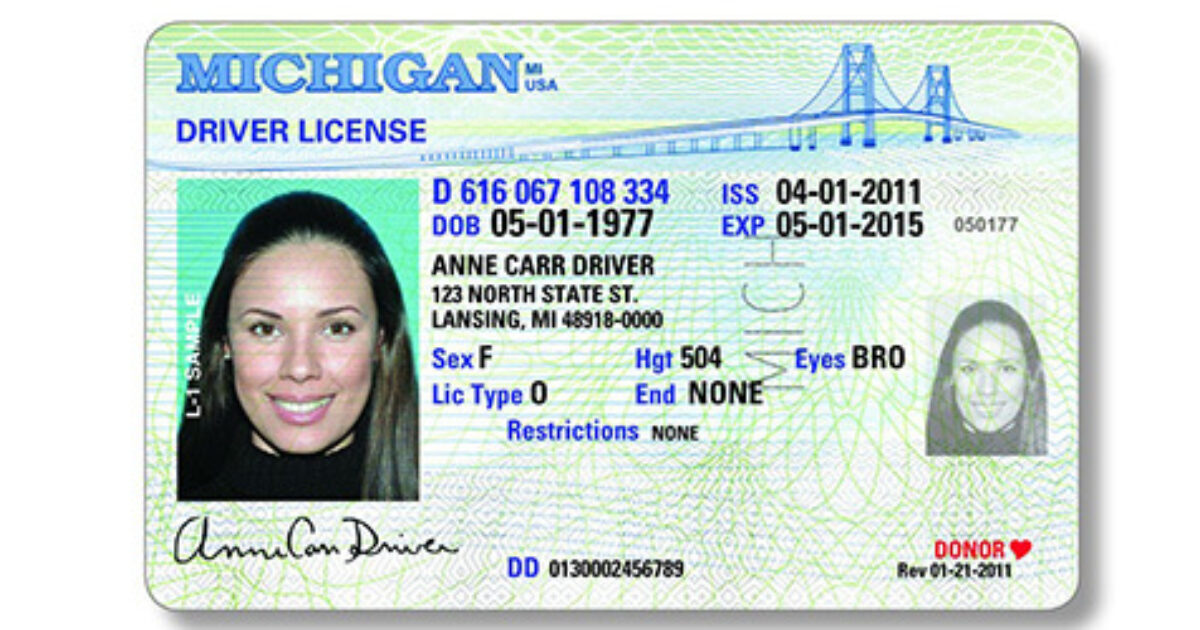 chauffeur driver license michigan