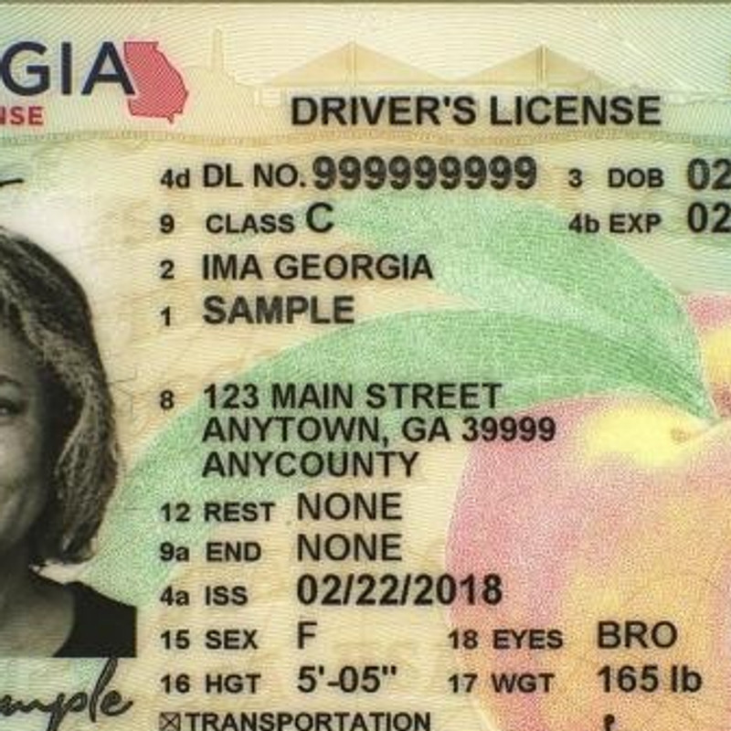 check my georgia driver license