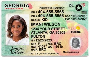 check my georgia driver license