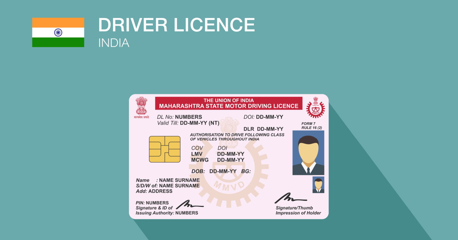 check status for driver license
