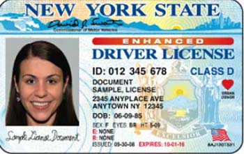 check status of ny driver's license