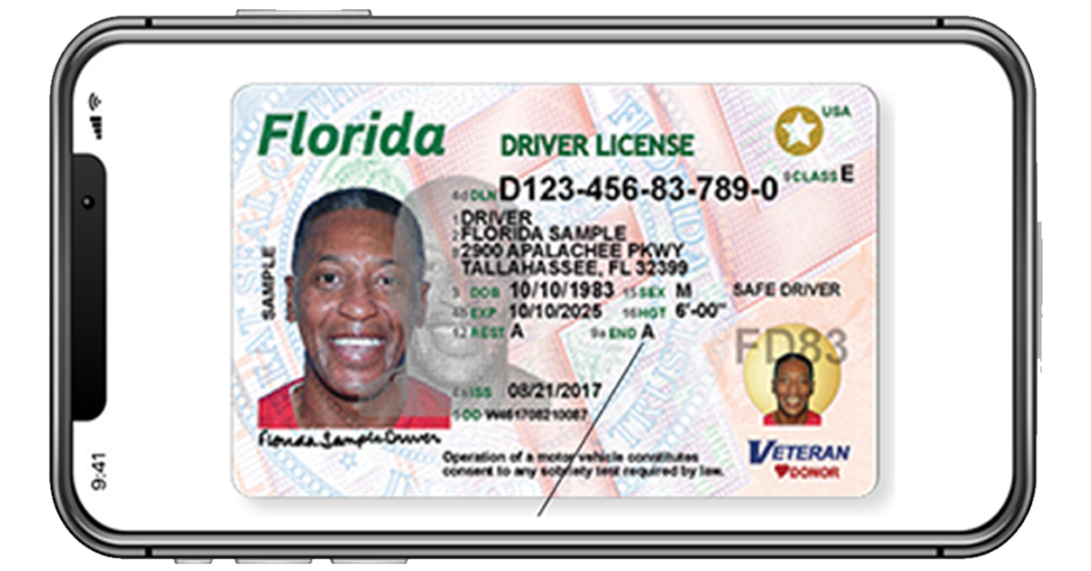 check your florida driver's license status