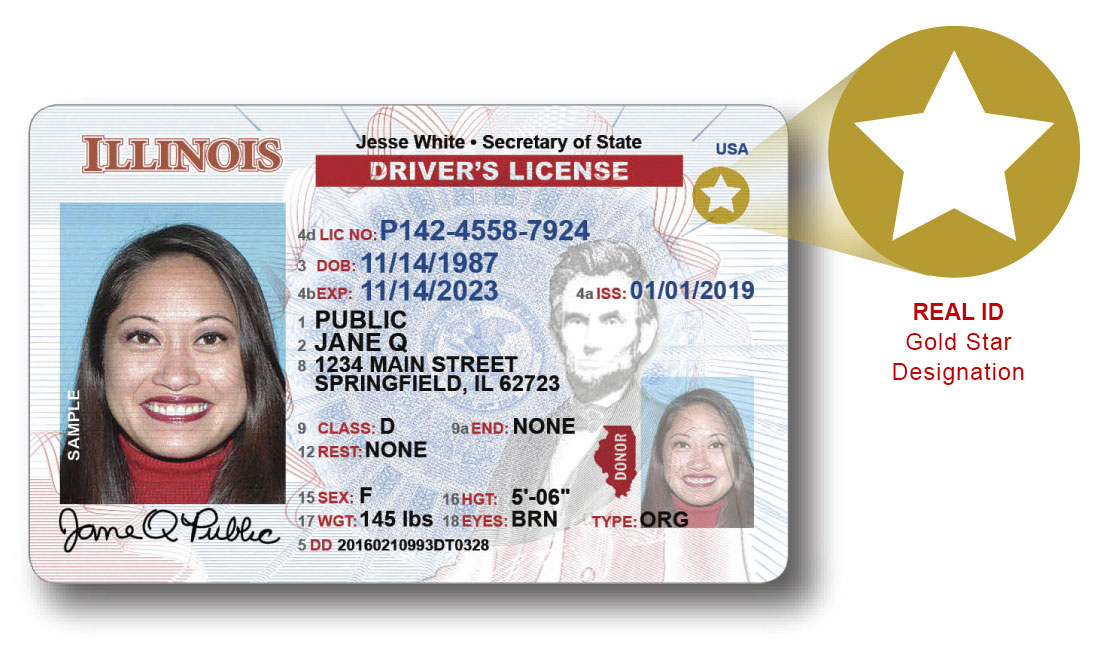 checking driver's license status illinois